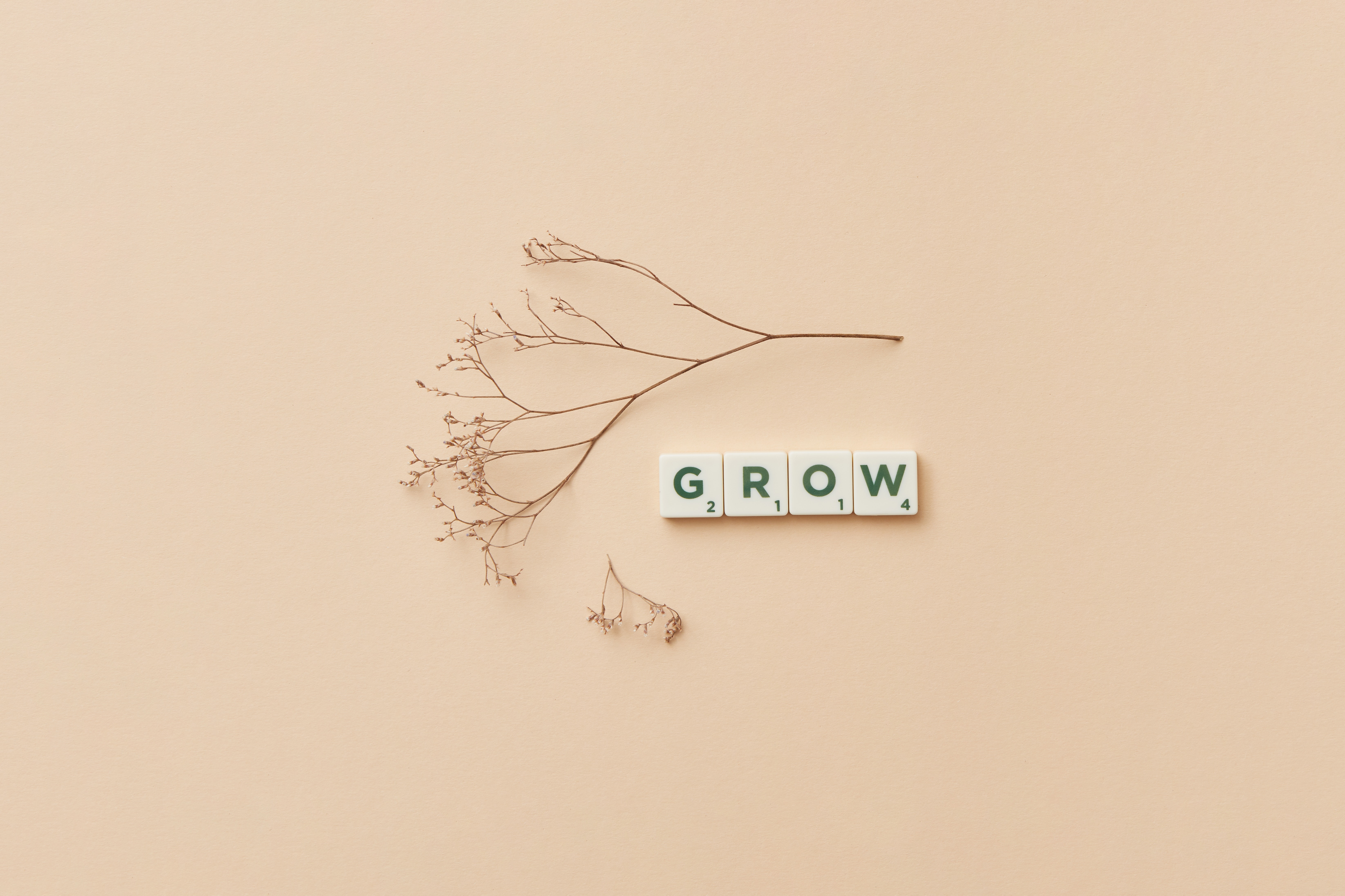 Scrabble letters spelling grow